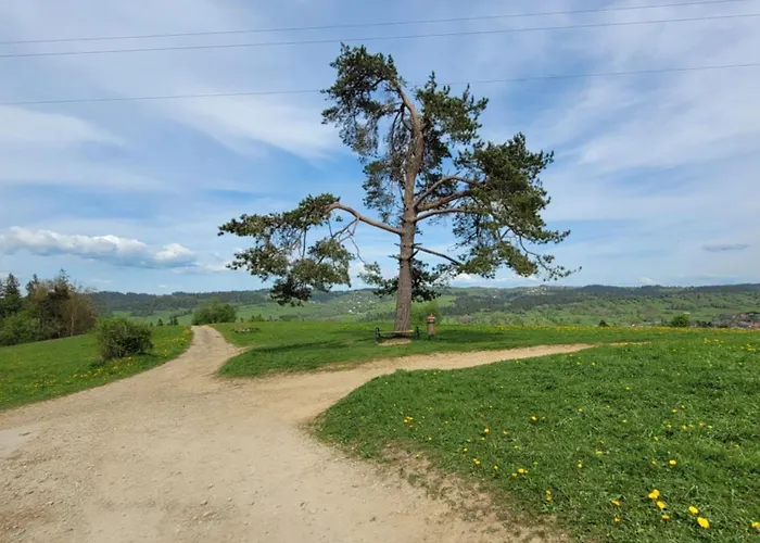 Pokoje U Julki